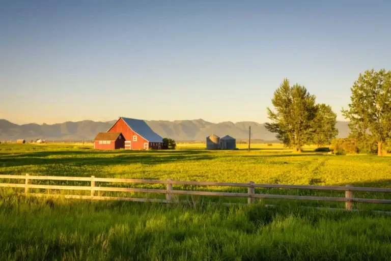 Home in a rural area eligible for a USDA loan