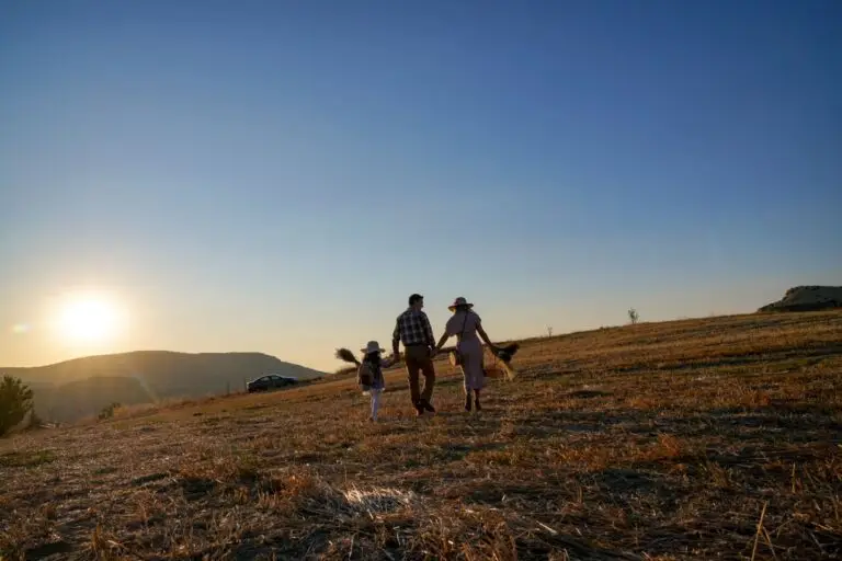 Family walking hand in hand across a hillside field at sunset