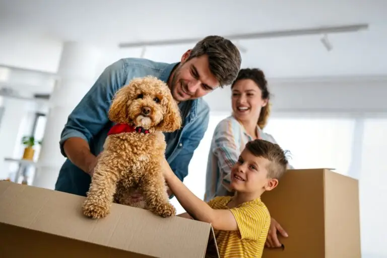 Family laughing as a curly haired dog peeks out of a moving box